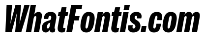 IvyGrotesque Condensed Extra Bold Italic