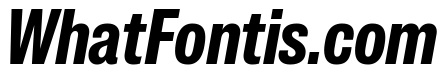 IvyGrotesque Bold Italic