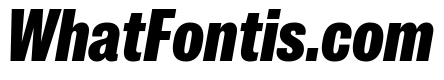 IvyGrotesque Black Italic