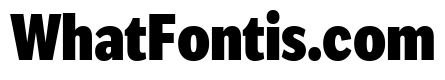 IvyEpic Condensed Black