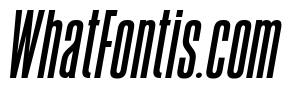 August Bold Italic