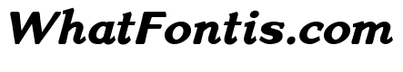 Venis Extra Bold Italic
