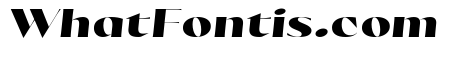 Olivette Heavy Italic