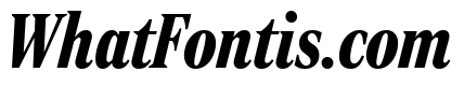 Rocky Compressed Black Italic