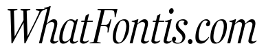 Fenway Banner Condensed Light Italic