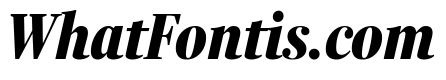 Fenway Banner Compressed Black Italic