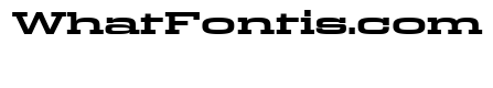 Egitto Super Wide Bold