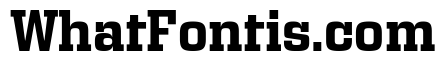 Egitto Bold