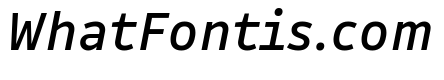 Drive Prop Book Italic