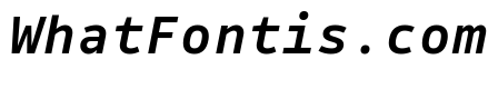 Drive Mono Medium Italic
