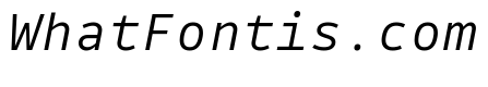 Drive Mono Light Italic