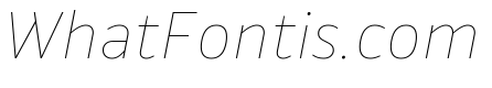 Drive Hairline Italic