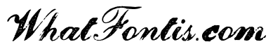 Magesta Script Mix
