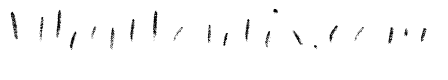 Canvas Script Regular Accent