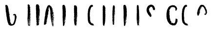 Canvas Curly Sans One
