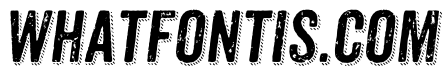 Anodyne Combined Italic