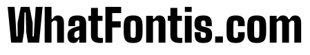 Big Shoulders Display Black