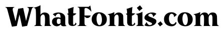 Telegraph Bold