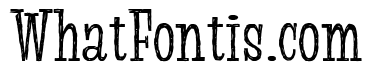 Suffer Scratch Bold