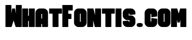 Ruby Duo Sans Condensed Black