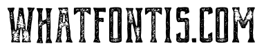 Compare Serif Rough Vintage