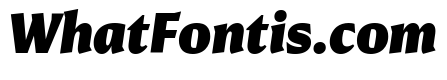 Conglomerate Black Italic