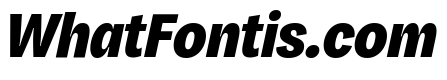 Honesta Black Italic