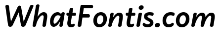 Didactica Extra Bold Italic