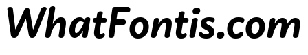 Didactica Black Italic
