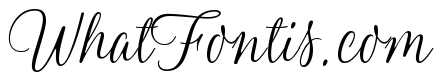 Blend Script Regular