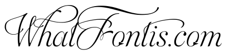 Aphrodite Slim Stylistic
