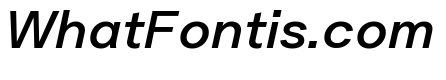 Plaid M Italic