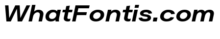 Plaid L Italic