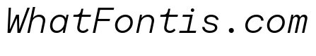 Moderat Mono Light Italic