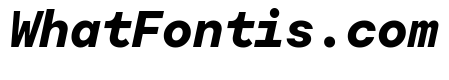 Moderat Mono Extra Bold Italic