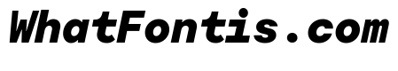 Moderat Mono Black Italic