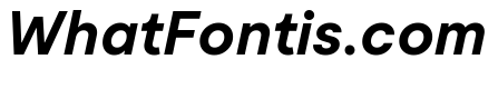 Moderat Bold Italic