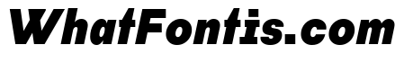 Habitas Black Italic