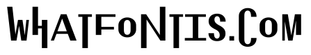 Exposit Positive Bold