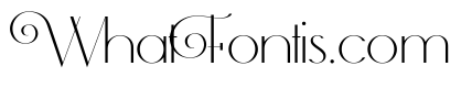 Elipses Bold