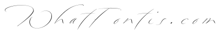Bird Script Light