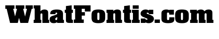 Superba Wide Bold