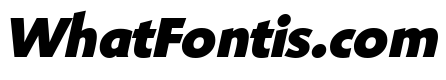 Shinn Extra Bold Italic
