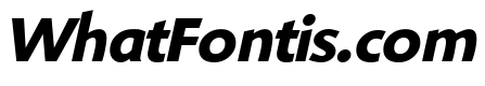 Shinn Bold Italic