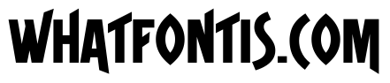 Roman Tyres Extra Bold
