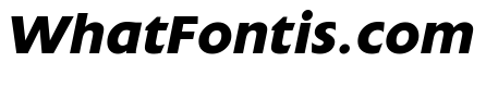 Extension Bold Italic