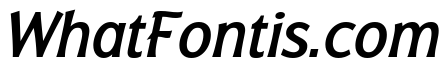 Badger Medium Italic