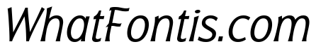 Badger Light Italic