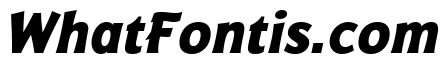 Badger Extra Bold Italic