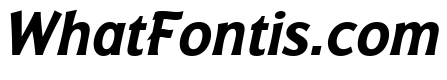 Badger Bold Italic